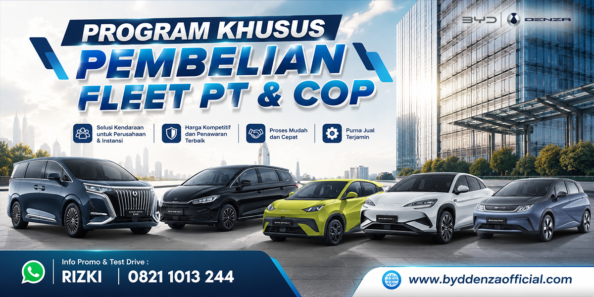 PROMO FLEET BYD DENZA